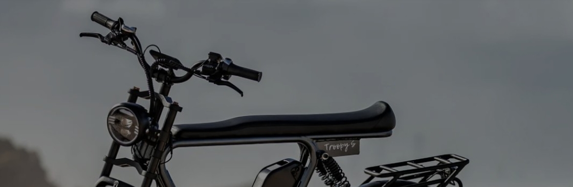 Sunchaser Ebikes Cover Image